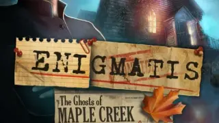 Enigmatis: The Ghosts of Maple Creek - Switch