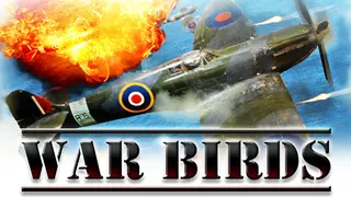 War Birds: WW2 Air strike 1942