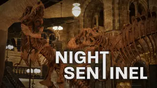 Night Sentinel