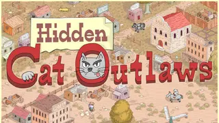 Hidden Cat Outlaws