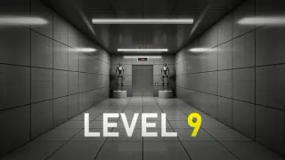 Level 9