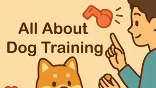 All About Dog Training - Switch