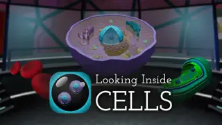 Looking Inside Cells