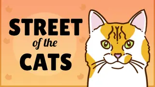 Street of the Cats