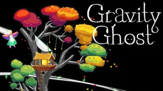 Gravity Ghost