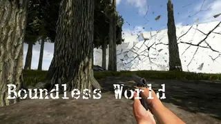 Boundless world