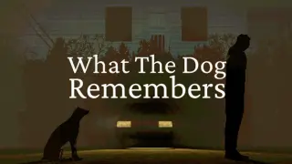 What The Dog Remembers