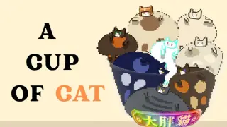 A Cup of Cat