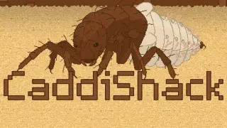 CaddiShack