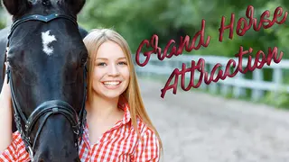 Grand horse attraction