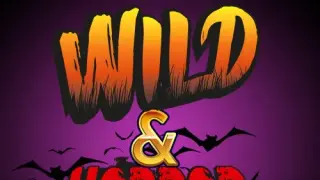 Wild & Horror Pinball - Switch