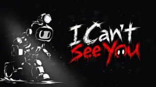 I Can't See You