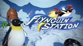 Flynguin Station