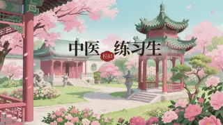 中医模拟练习生