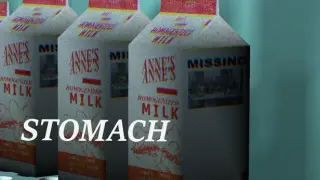 Stomach
