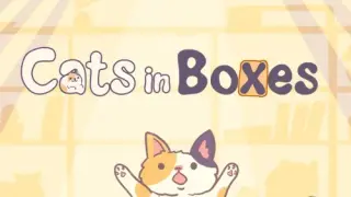 Cats in Boxes - Switch