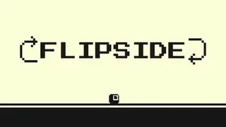 Flipside