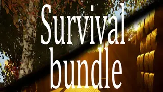 VilSet + Crossworlds