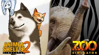 Zoo Shelter