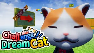 Challenge Dream Cat