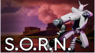 S.O.R.N.
