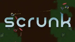 Scrunk