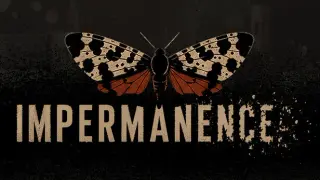 Impermanence