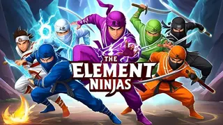 The Element Ninjas
