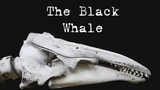 The Black Whale