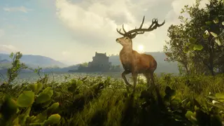 theHunter: Call of the Wild - Scotland Hunting Reserve - Xbox One