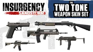 Insurgency: Sandstorm - Two-Tone Weapon Skin Set