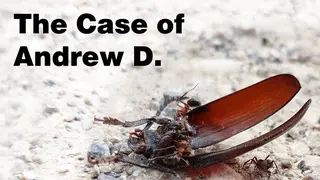 The Case of Andrew D.