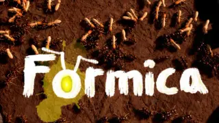 Formica