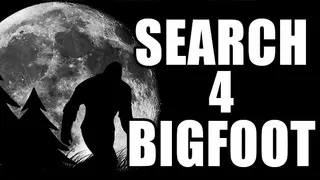 Search 4 Bigfoot