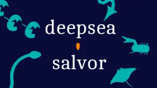 Deepsea Salvor