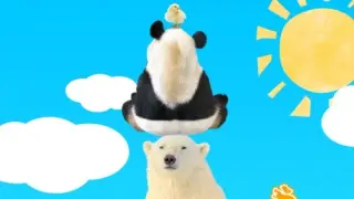 Animal Tower Battle - Switch
