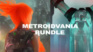 PolarityFlow's Metroidvania Bundle