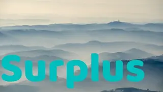 Surplus