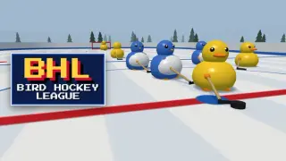 Bird Hockey League
