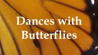 Dances with Butterflies VR