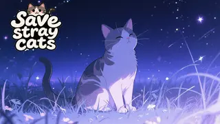 Save stray cats