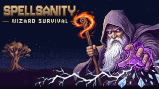 Spellsanity: Wizard Survival