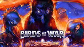 Birds of War