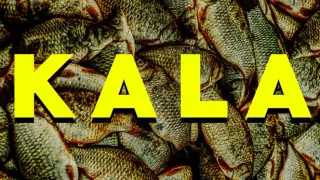 KALA