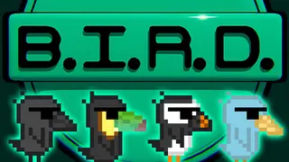 B.I.R.D.