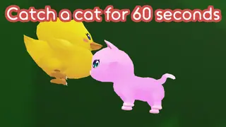 Catch a cat for 60 seconds