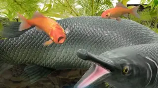Catch 'Em! Goldfish Scooping - Switch