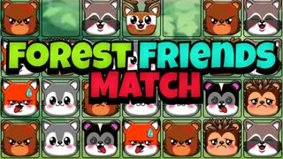 Forest Friends Match