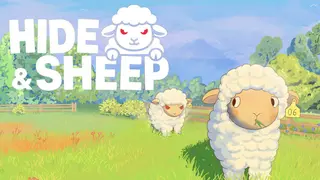 Hide and Sheep