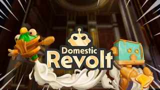 Domestic Revolt